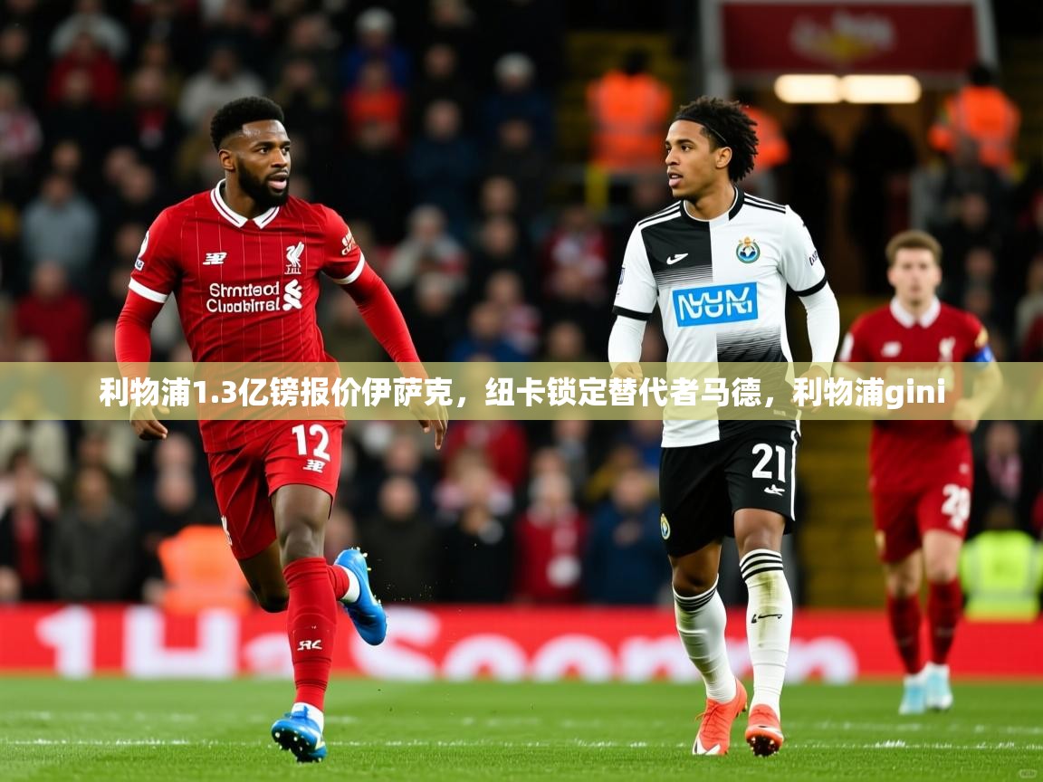 2025爱游戏登录界面利物浦1.3亿镑报价伊萨克，纽卡锁定替代者马德，利物浦gini  第2张