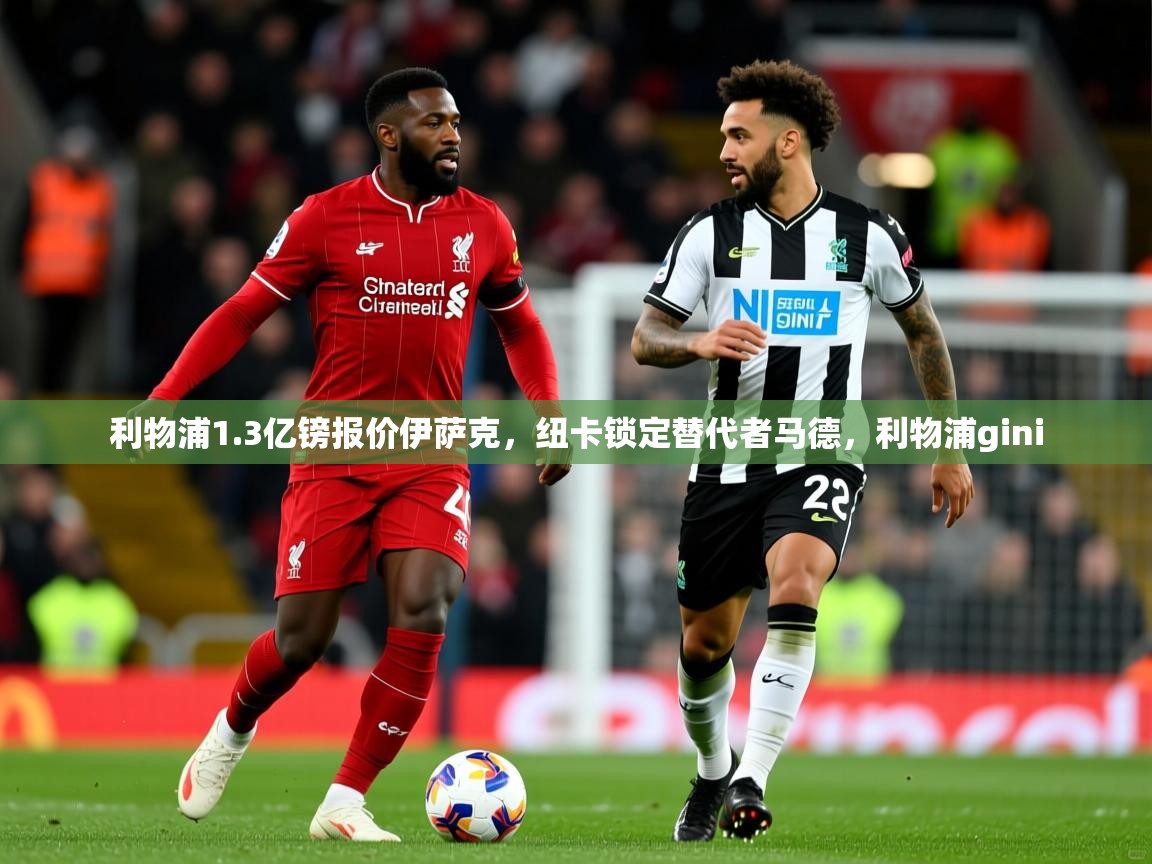 2025爱游戏登录界面利物浦1.3亿镑报价伊萨克，纽卡锁定替代者马德，利物浦gini  第1张