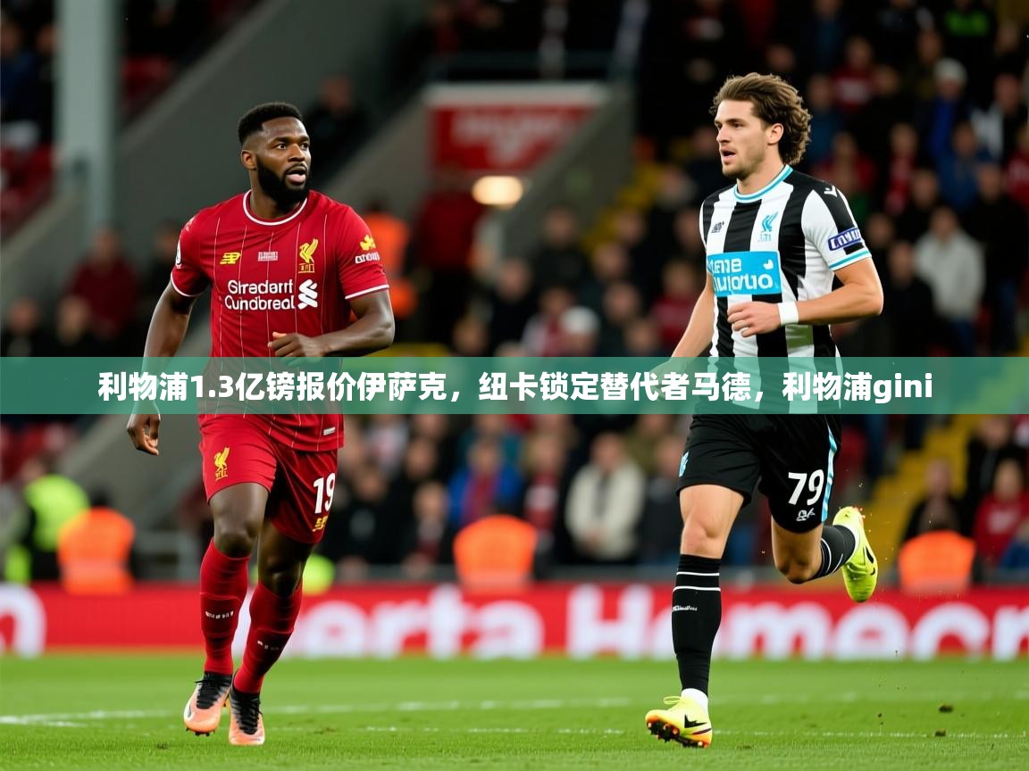 2025爱游戏登录界面利物浦1.3亿镑报价伊萨克，纽卡锁定替代者马德，利物浦gini  第3张