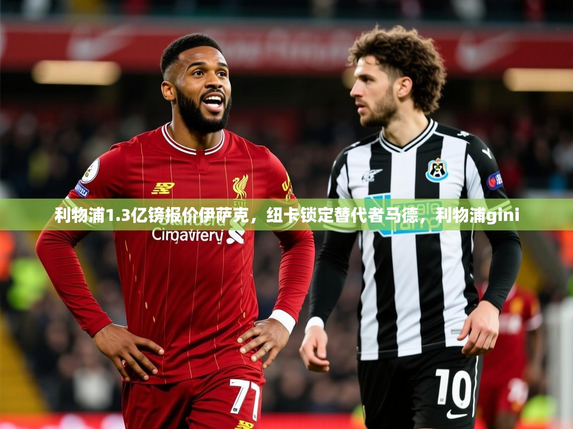 2025爱游戏登录界面利物浦1.3亿镑报价伊萨克，纽卡锁定替代者马德，利物浦gini  第4张