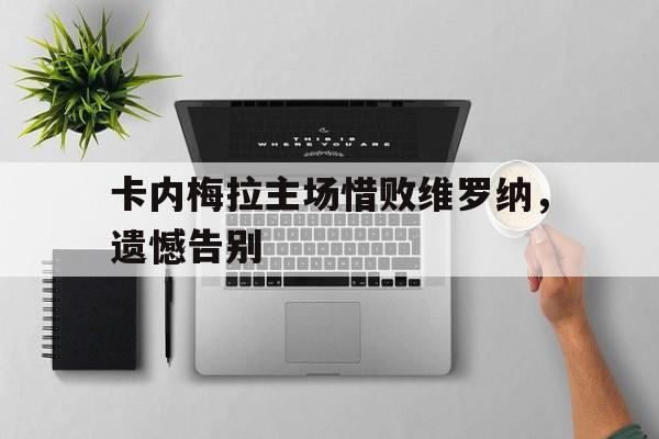 爱游戏体育app下载-关于卡内梅拉主场惜败维罗纳，遗憾告别的信息